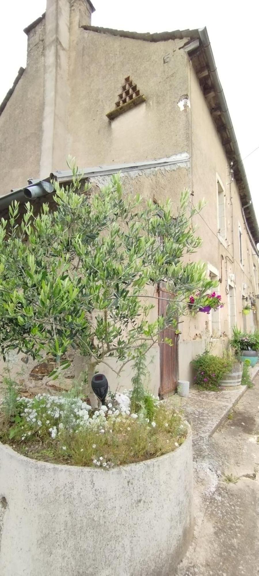 Gite L'Esprit Nature Naucelle Exteriör bild